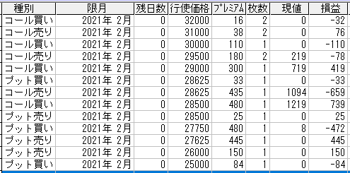 225IvVQl[@2021N2